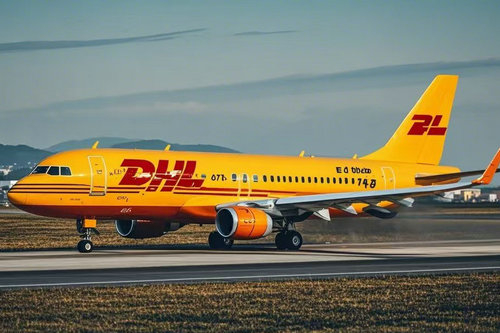 北京DHL國際快遞可以往國外郵寄寵物嗎