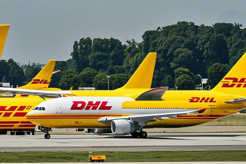 北京國際快遞寵物托運需要注意哪些事項？